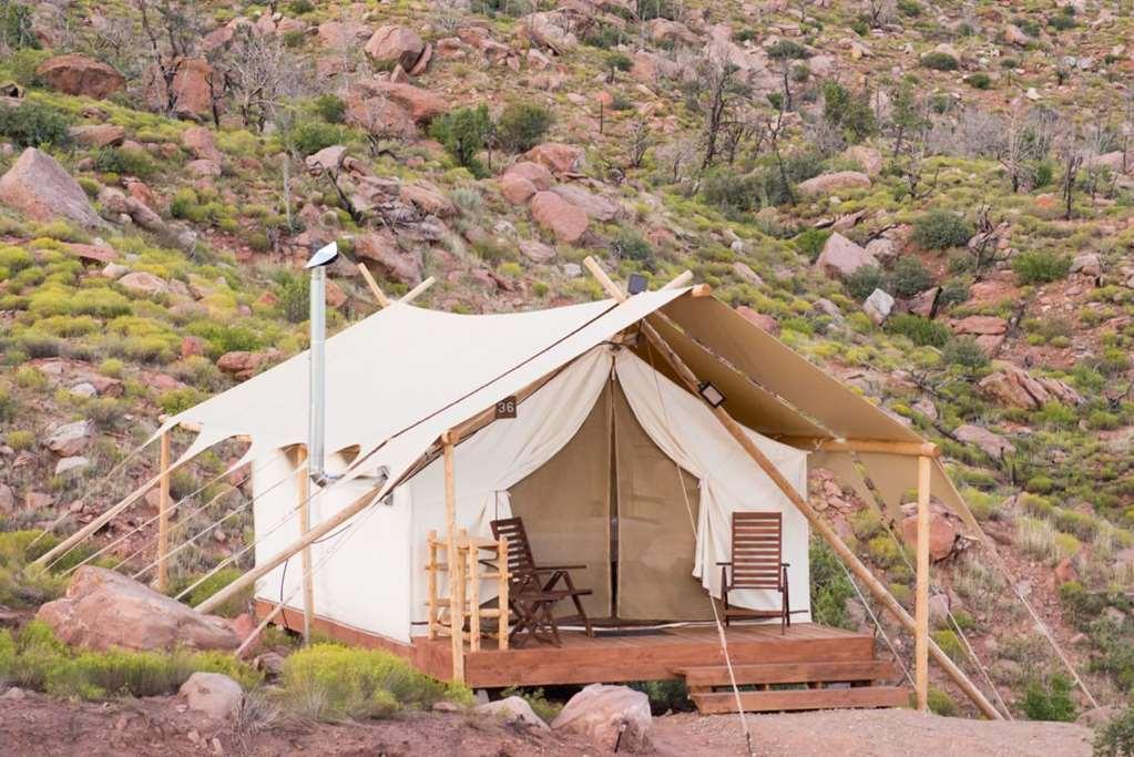 Under Canvas Zion Virgin Værelse billede
