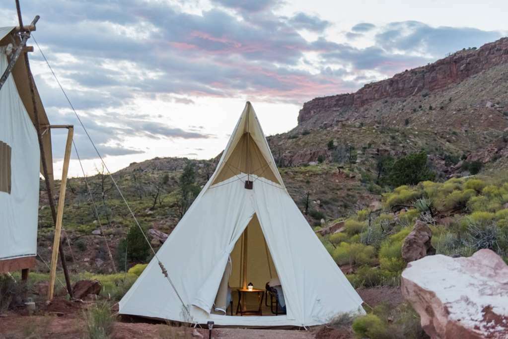 Under Canvas Zion Virgin Værelse billede