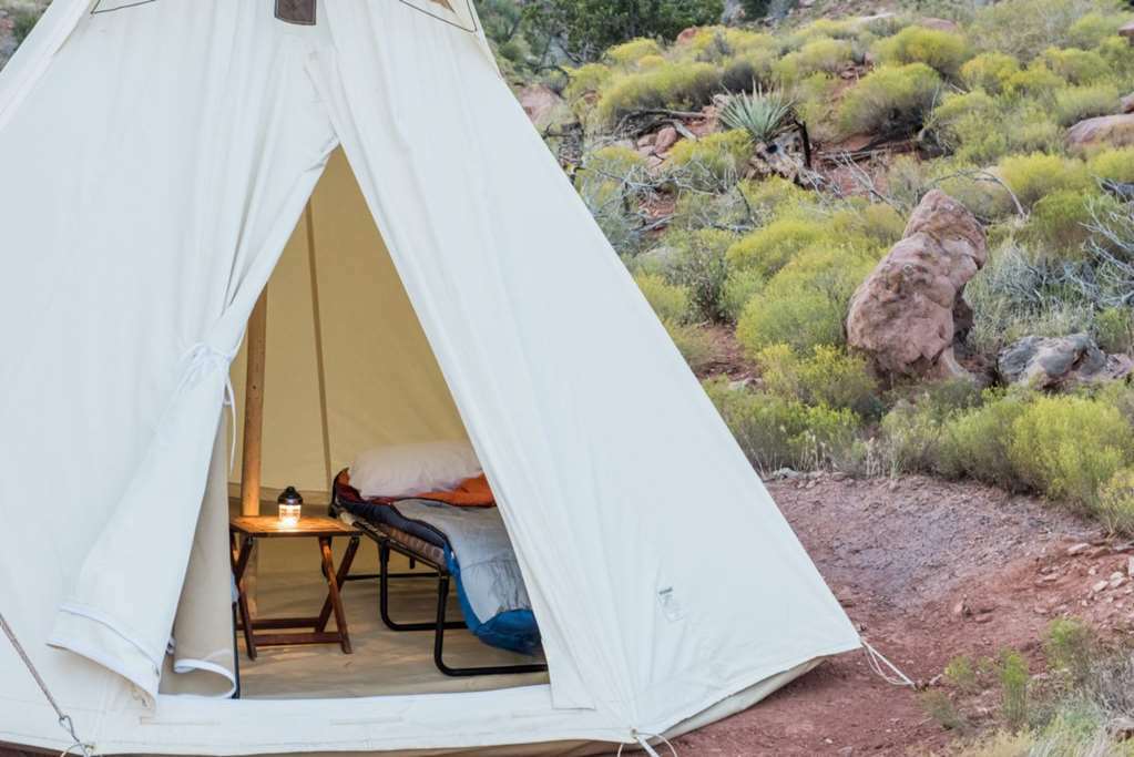Under Canvas Zion Virgin Værelse billede